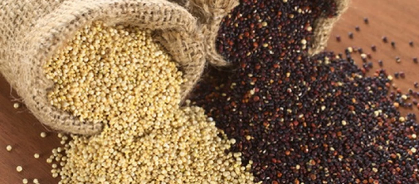 Οι 4+1 λόγοι για να εντάξετε στη διατροφή σας κινόα